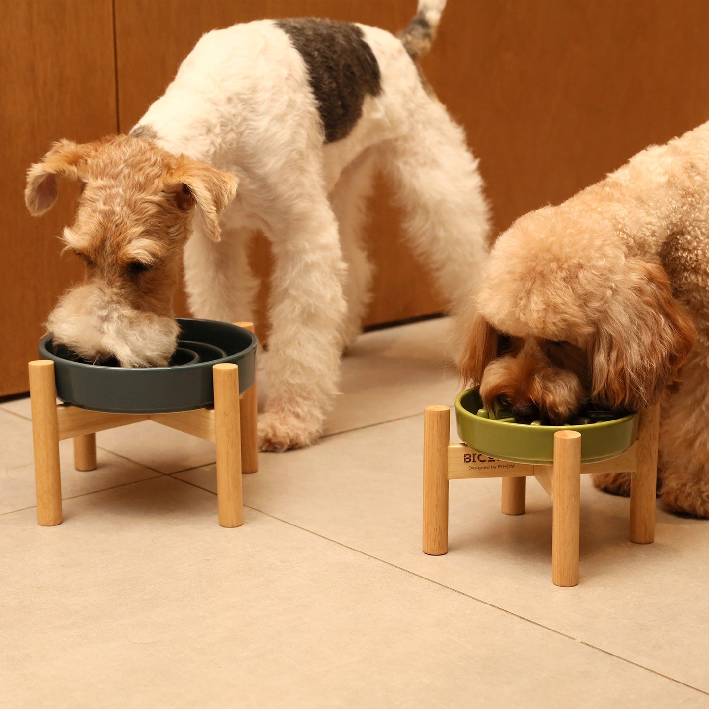 [Spark] Slow Feeder Dog Bowls - Red / Green / Blue - Trendy Life Gadgets