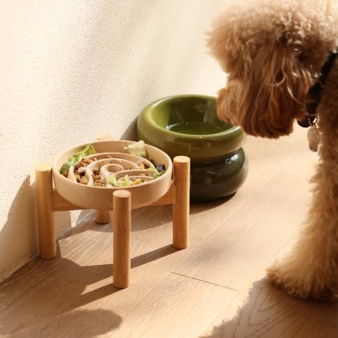 [Spark] Slow Feeder Dog Bowls - Red / Green / Blue - Trendy Life Gadgets